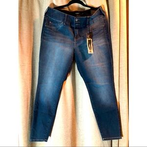 Torrid Jeans
